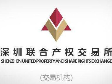 四川城銳房地產(chǎn)31%股權(quán)轉(zhuǎn)讓(國資監(jiān)測編號(hào)G32022SZ1000022)