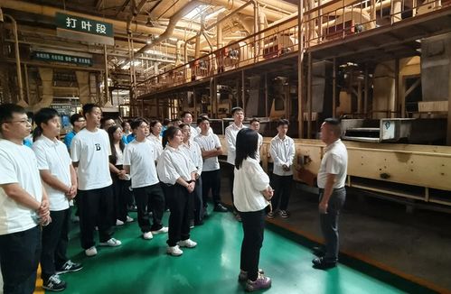 四川涼山州局 公司 新進員工到四川煙葉復烤公司會理復烤廠交流學習